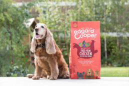 Dog sat next to bag of dog food