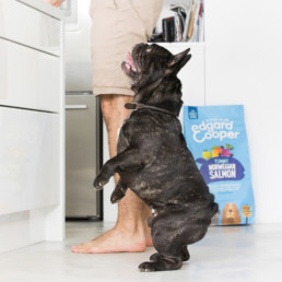 Dog sat next to bag of dog food